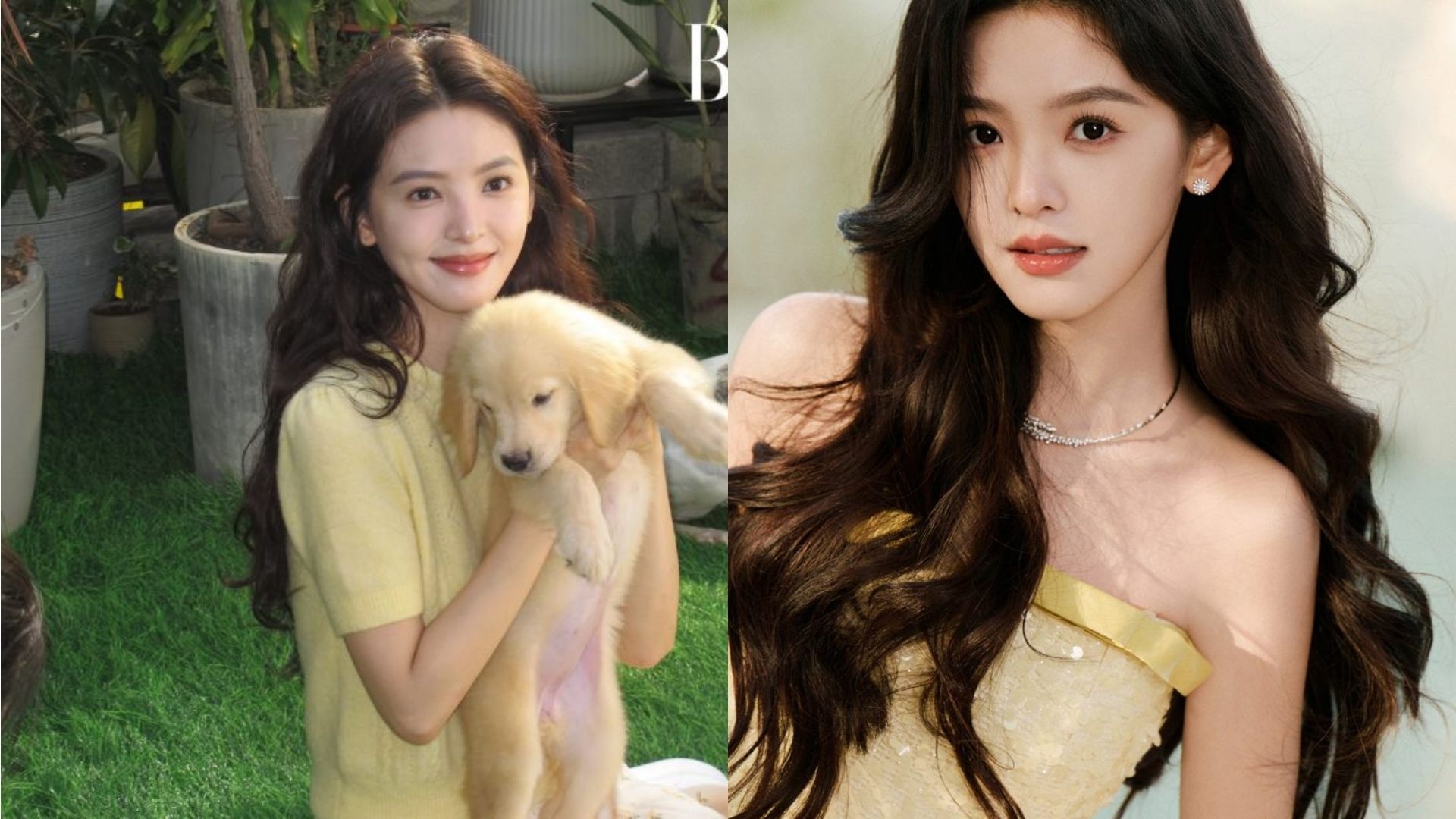 Hình ảnh biểu tượng “Eastern Grace”