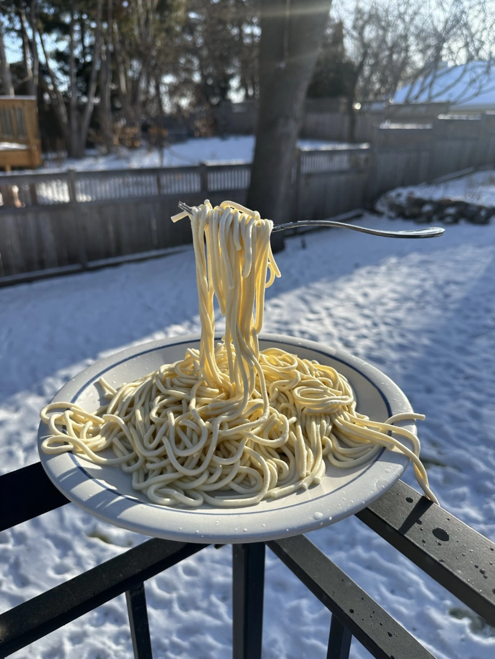 Đĩa mỳ Ý "lơ lửng" giữa không trung ở thành phố Minneapolis, bang Minnesota, hôm 24/1.