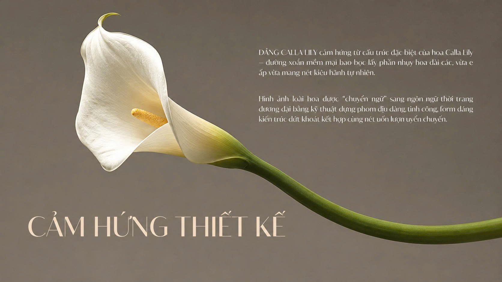 Cảm hứng thiết kế thời trang nữ xuân hè từ hoa Calla Lily